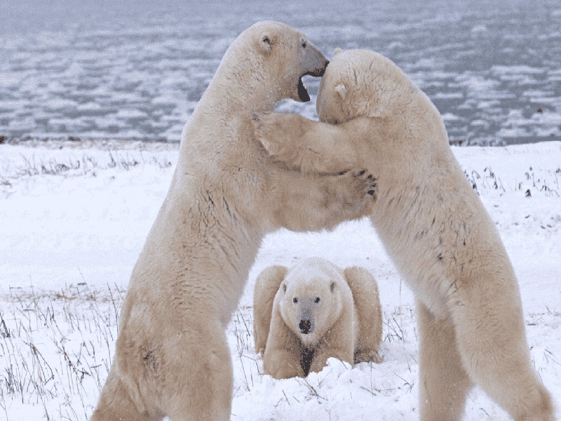 单身女试管孩子(化学试管怎么放)